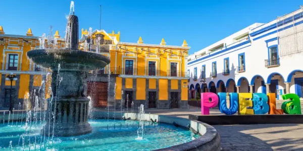 Conoterapia en Puebla Conoterapia en Puebla